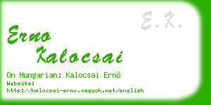 erno kalocsai business card